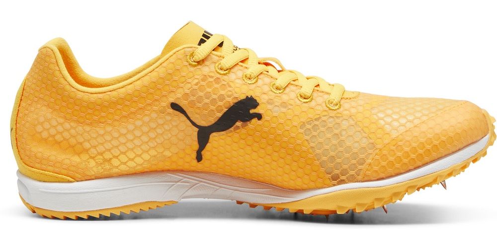 PumaSchuheLowevoSPEEDHaraka8Unisex310930