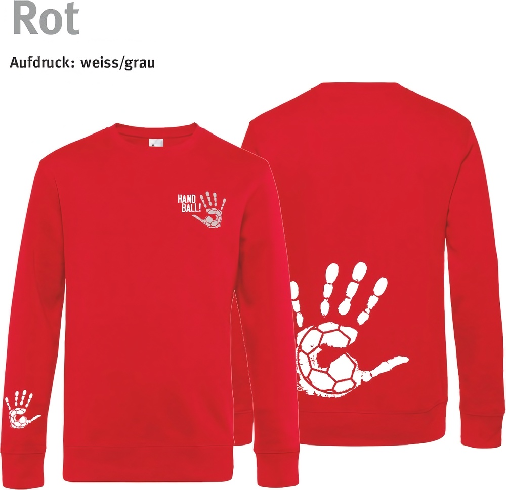 HandballCollectionKinderSweaterWK680