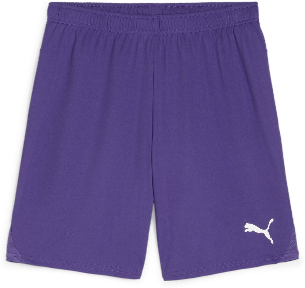 PumaSportShortsTeamGoalShorts705752TeamViolet-PumaWhite-L