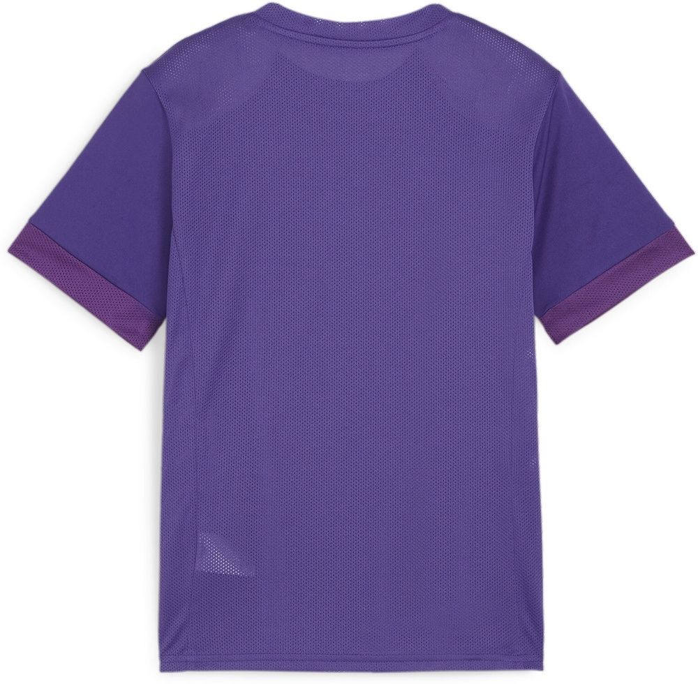 PumaKinderTeamGoalMatchdayJerseyjr705748