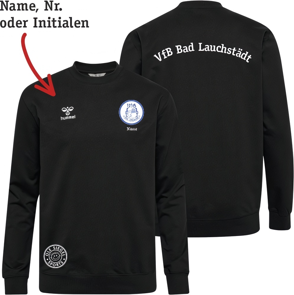 VfBBadLauchstdtHummelhmlGO20CottonSweatshirtUnisex224835