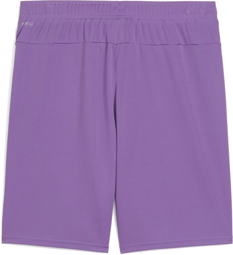 PumaSportShortsTeamGoalShorts705752Ultraviolet-PumaWhite-3XL