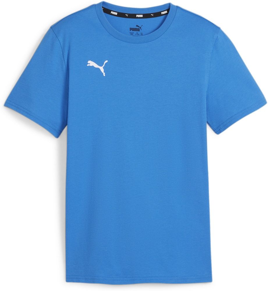 PumaKinderShirtTeamGoalCasuaLongsleeveTeeJr658616
