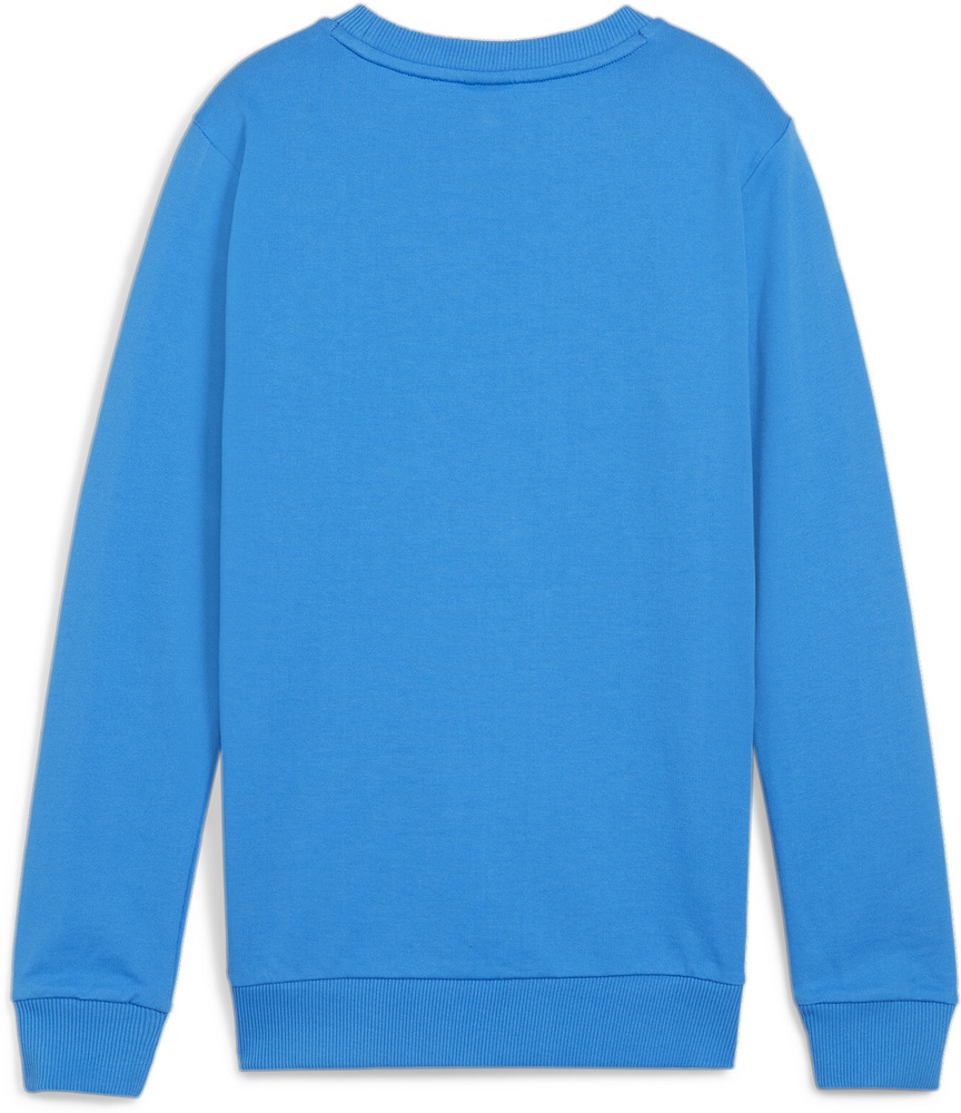 PumaKinderCrewSweatshirtTeamGoalCasuaLongsleeveCrewNeckSweatJr658593IgniteBlue-PumaWhite-128