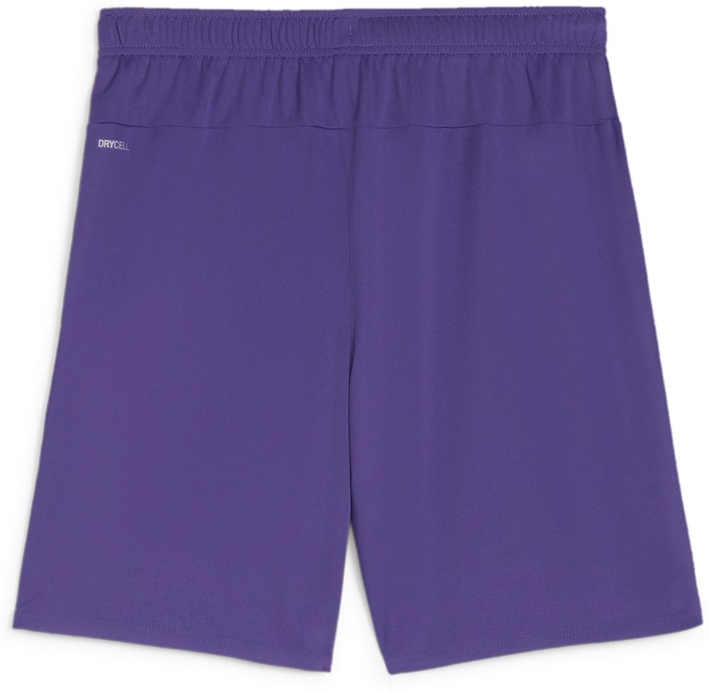 PumaSportShortsTeamGoalShorts705752TeamViolet-PumaWhite-L