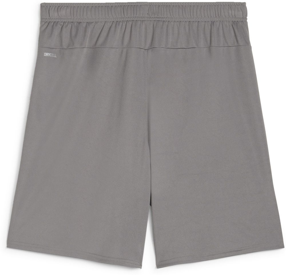 PumaSportShortsTeamGoalShorts705752