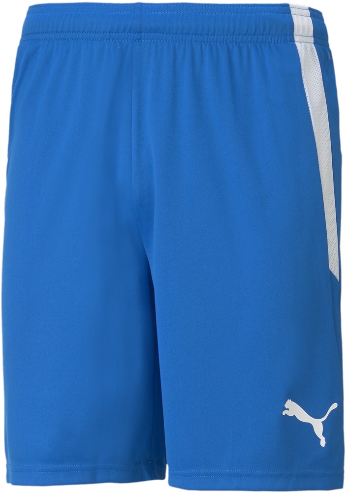 PumaSportShortsTeamLIGAShorts704924