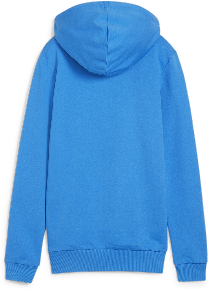 PumaDamenHoodieTeamGoalCasuaLongsleeveHoodyWmn658621