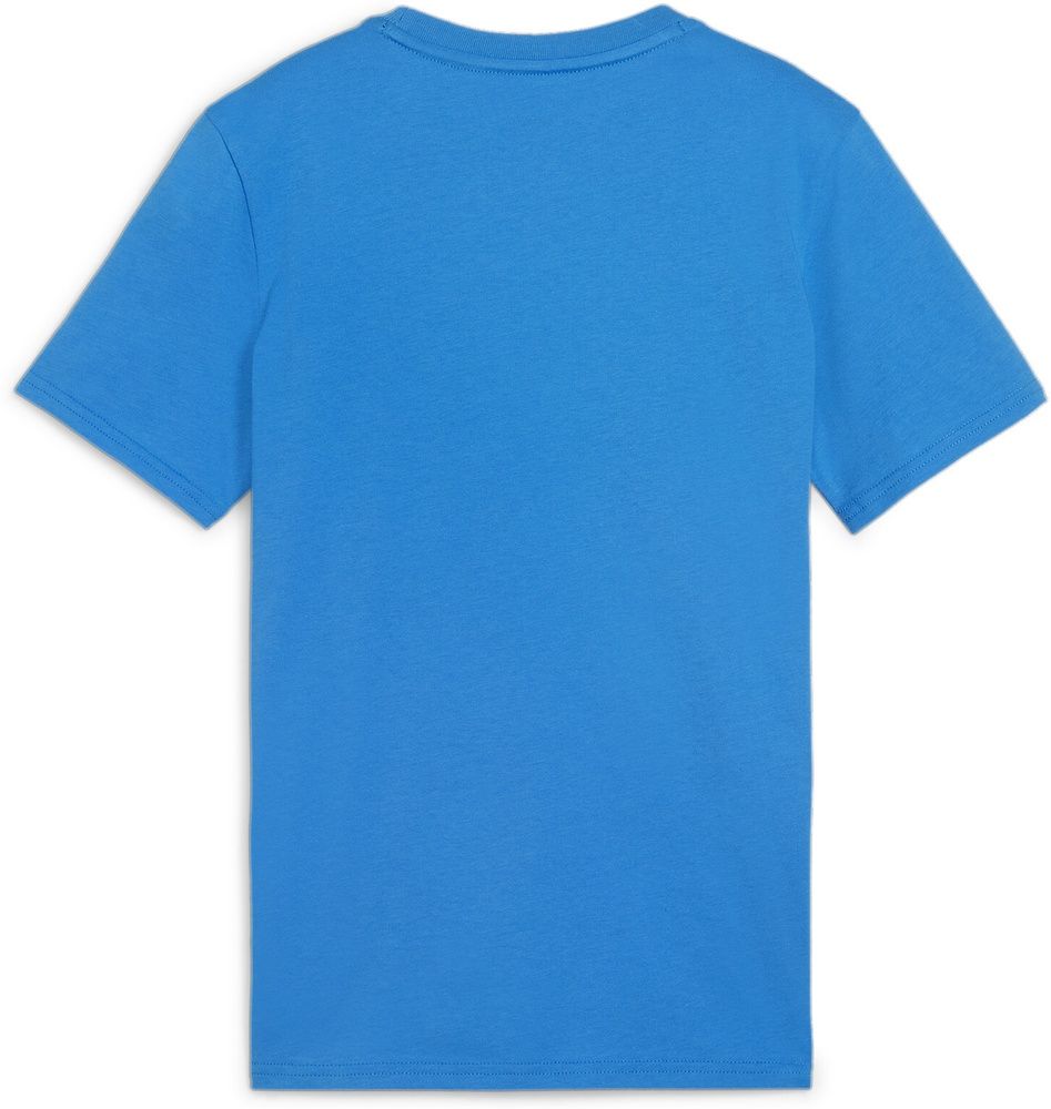 PumaKinderShirtTeamGoalCasuaLongsleeveTeeJr658616