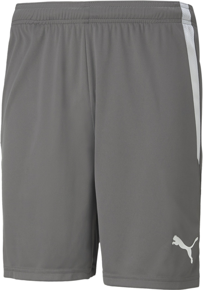 PumaSportShortsTeamLIGAShorts704924SmokedPearl-PumaWhite-XS