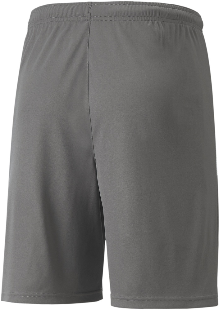 PumaSportShortsTeamLIGAShorts704924SmokedPearl-PumaWhite-XS