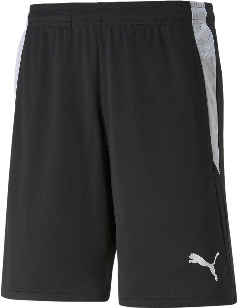 PumaSportShortsTeamLIGARefereeShorts705453