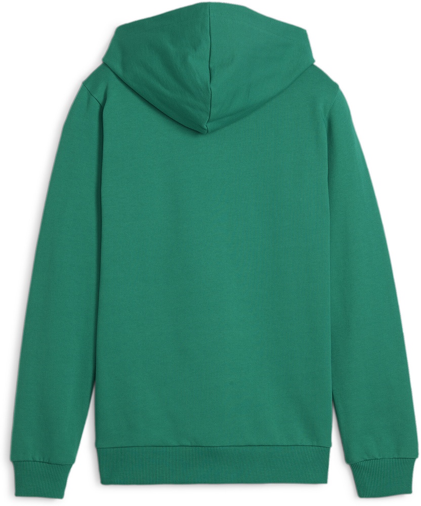 PumaKinderHoodieTeamGoalCasuaLongsleeveHoodyJr658619SportGreen-PumaWhite-140