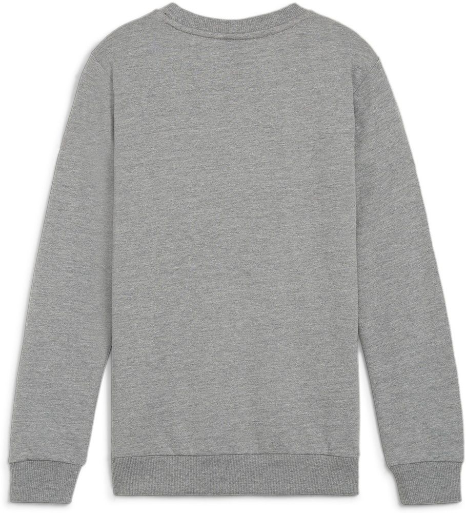 PumaKinderCrewSweatshirtTeamGoalCasuaLongsleeveCrewNeckSweatJr658593