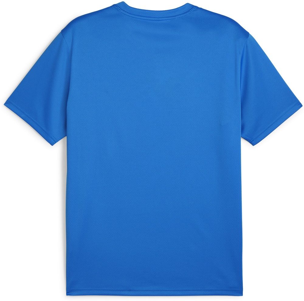 PumaShirtTeamGoalJersey658636