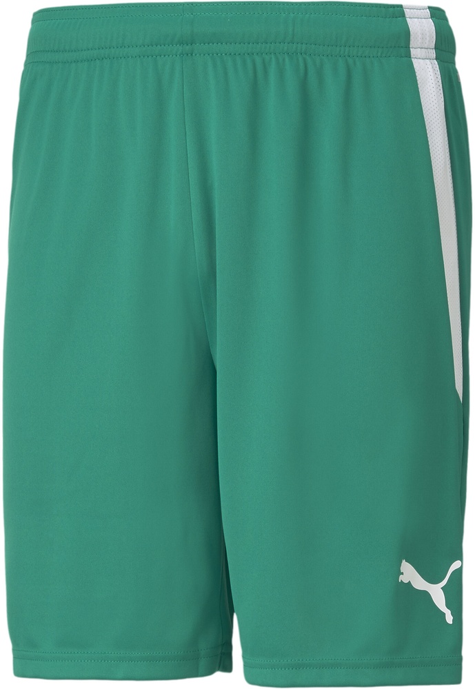 PumaSportShortsTeamLIGAShorts704924PepperGreen-PumaWhite-XXL