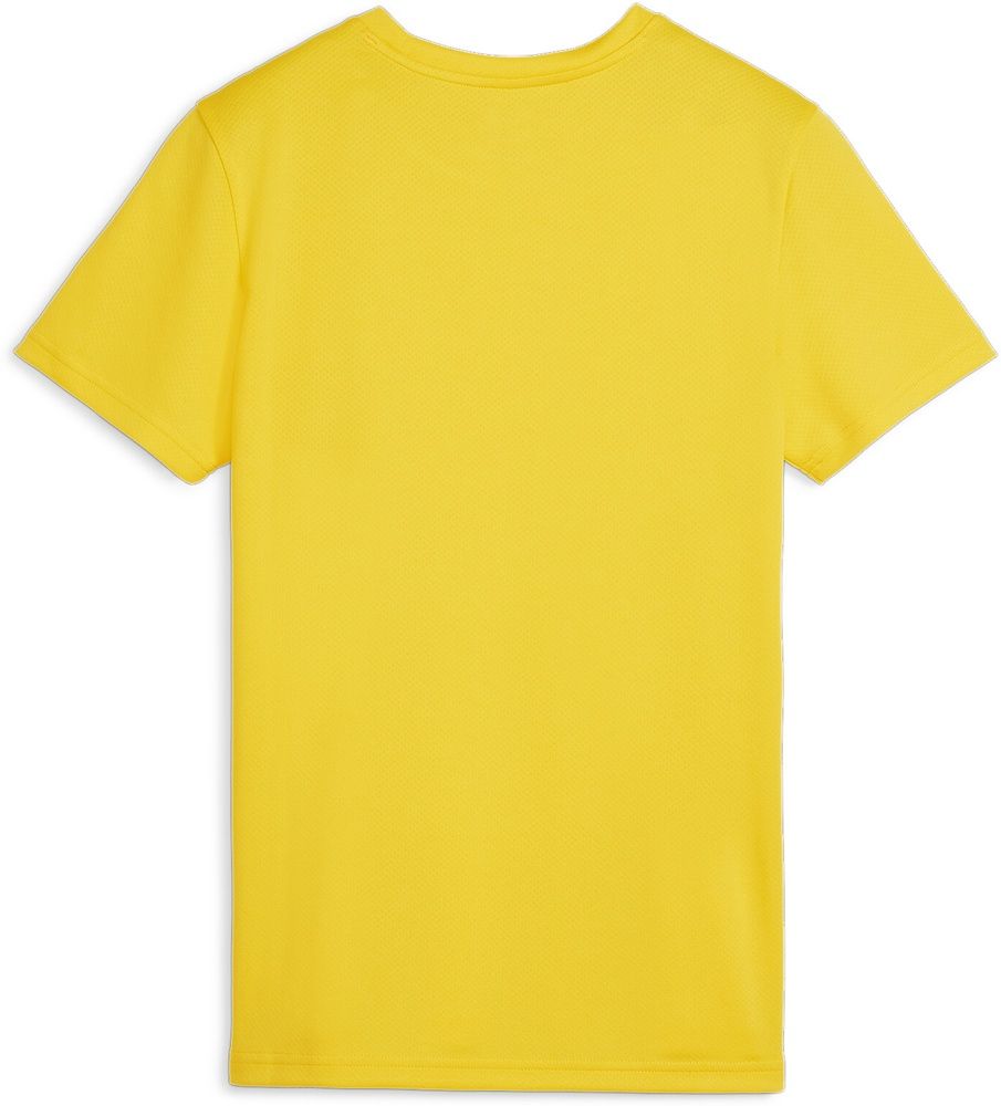 PumaDamenShirtTeamGoalJerseyWmn658638FasterYellow-PumaBlack-SportYellow-S