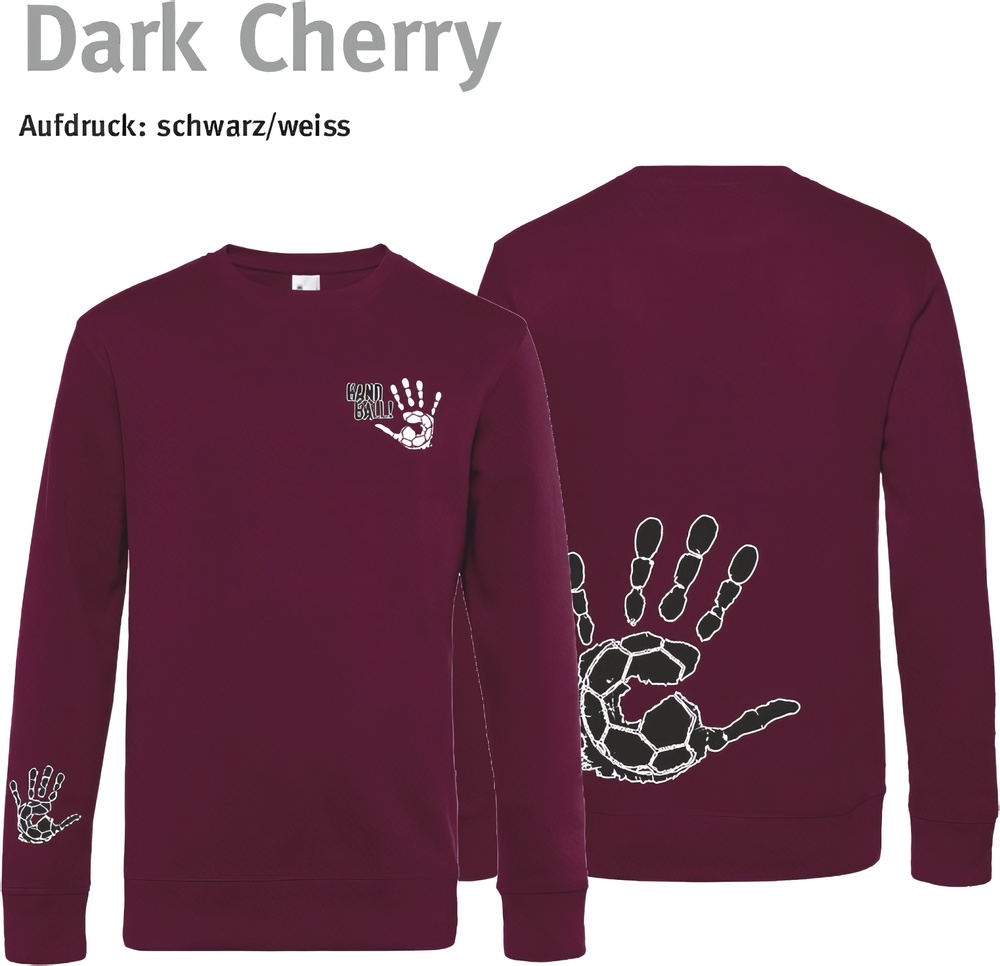 HandballCollectionSweaterWU01KDarkCherry-XS