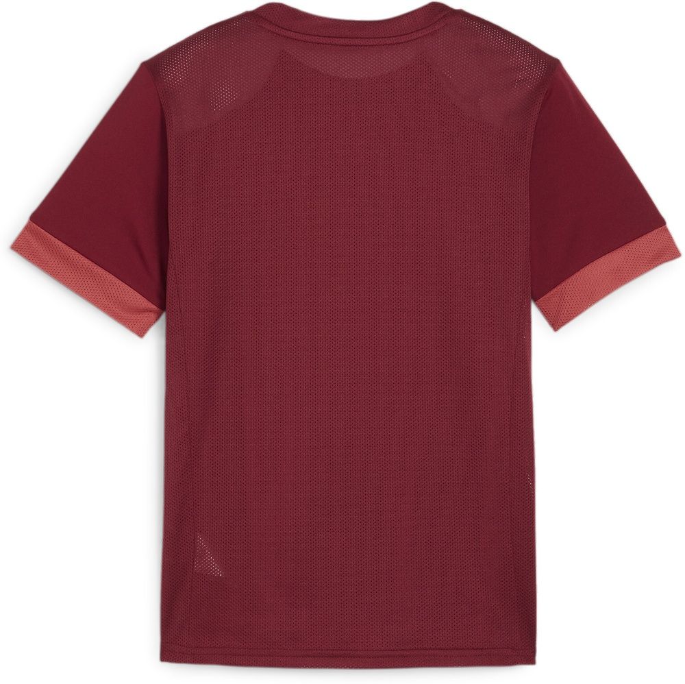 PumaKinderTeamGoalMatchdayJerseyjr705748TeamRegalRed-PumaWhite-AstroRed-116