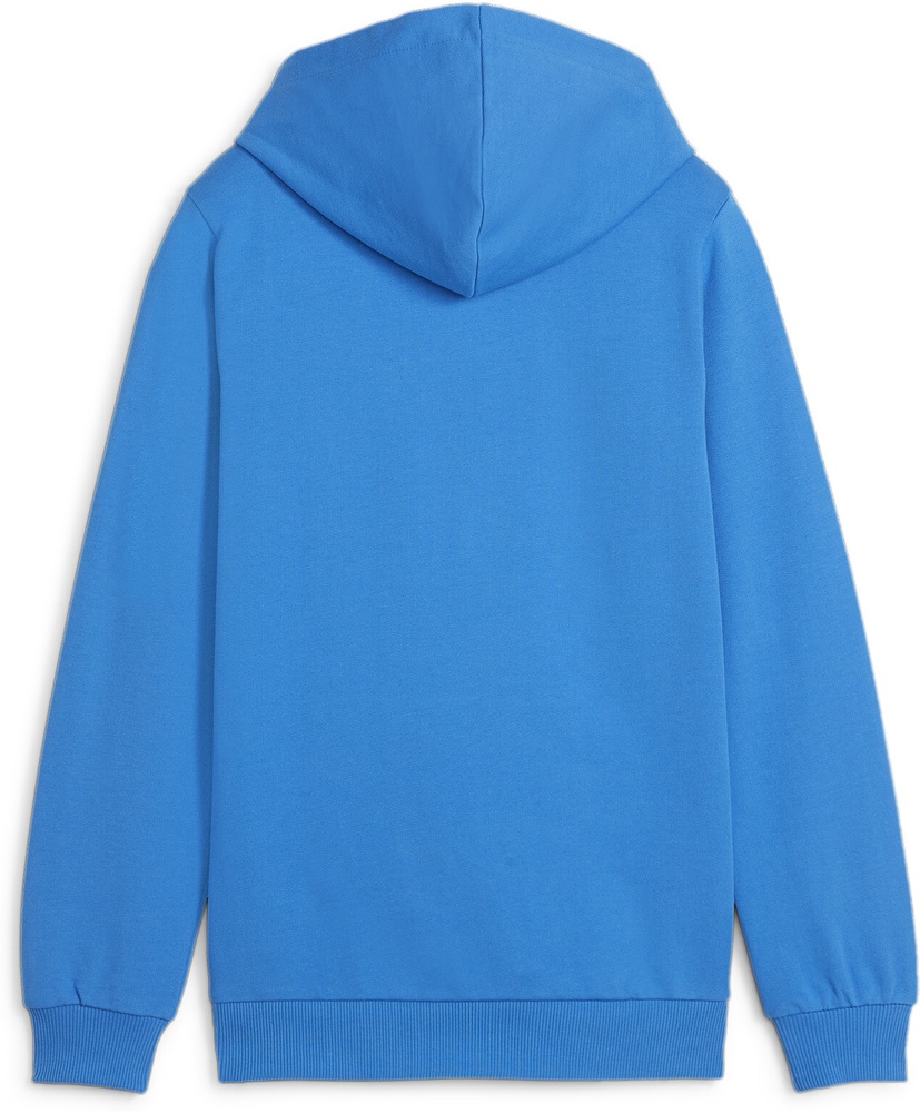 PumaKinderHoodieTeamGoalCasuaLongsleeveHoodyJr658619