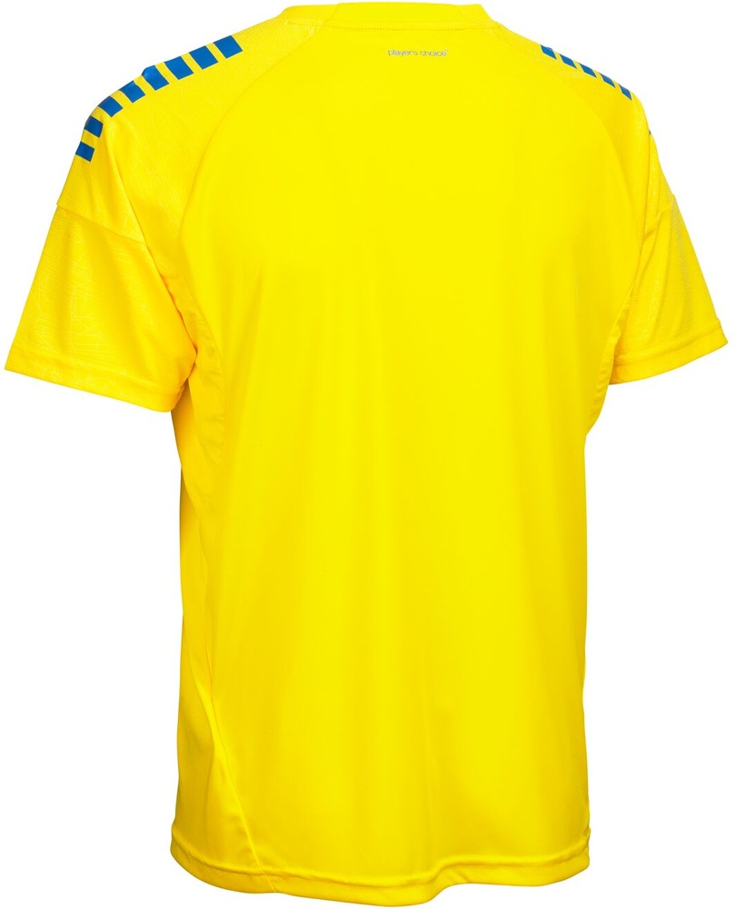 DerbystarTrikotKurzarmMadridV25602036GelbBlau-S