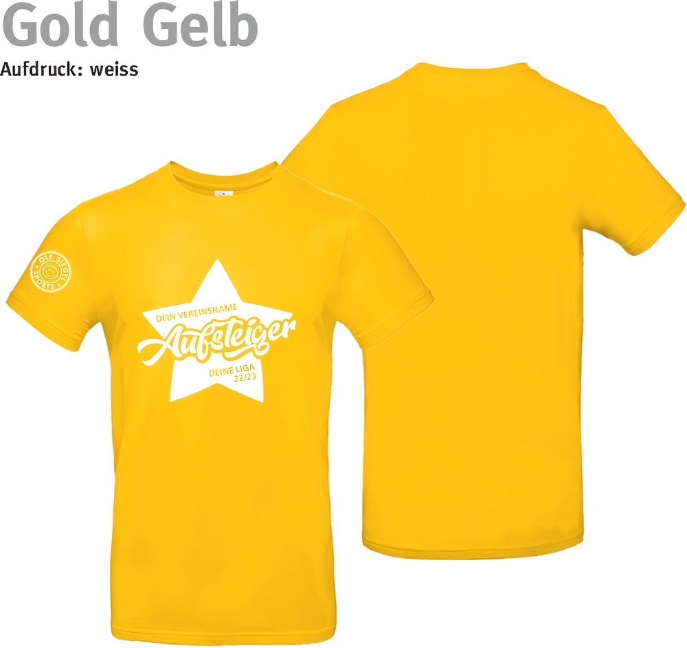 247CollectionT-ShirtAufstiegshirtSternTU03TGold-XS