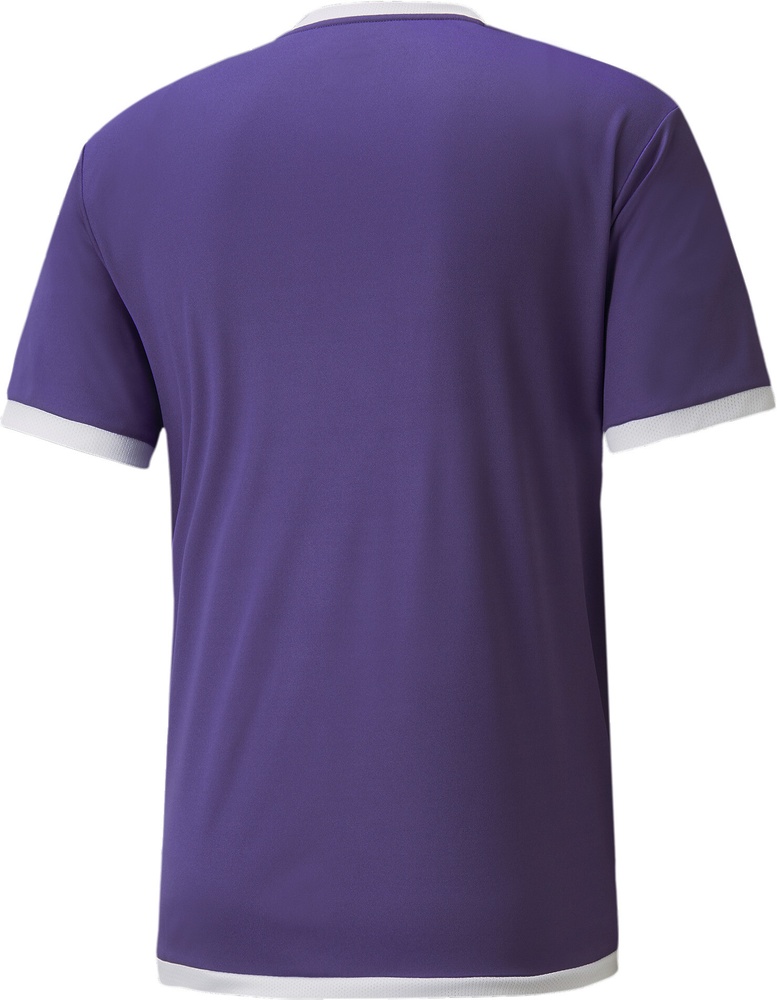 PumaTeamLIGAJersey704917