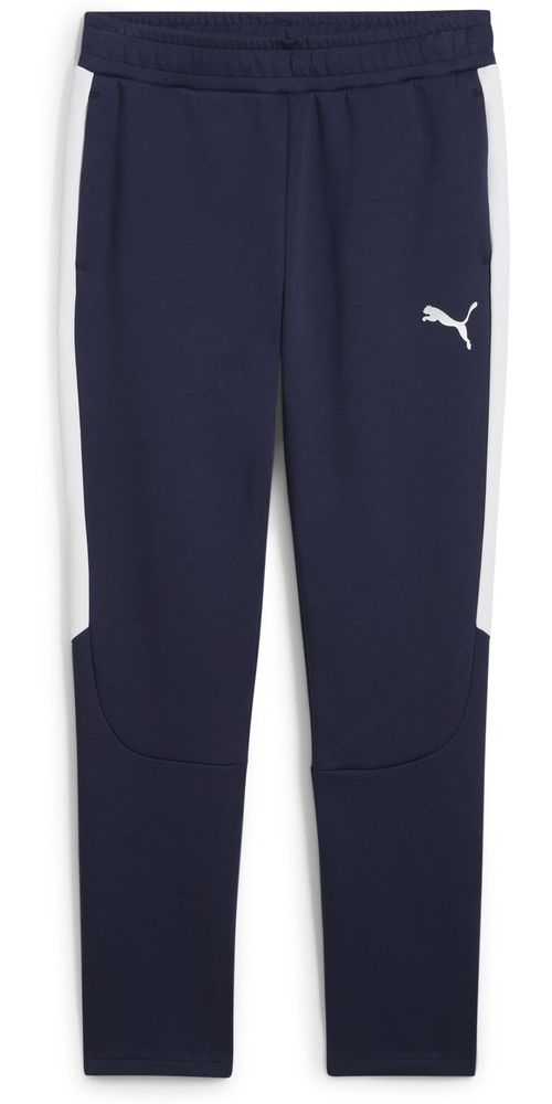 PumaSporthoseTeamEVOSTRIPEPants659948