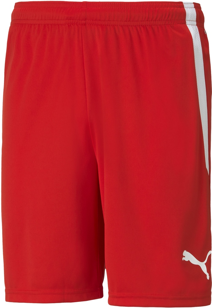 PumaSportShortsTeamLIGAShorts704924PumaRed-PumaWhite-L