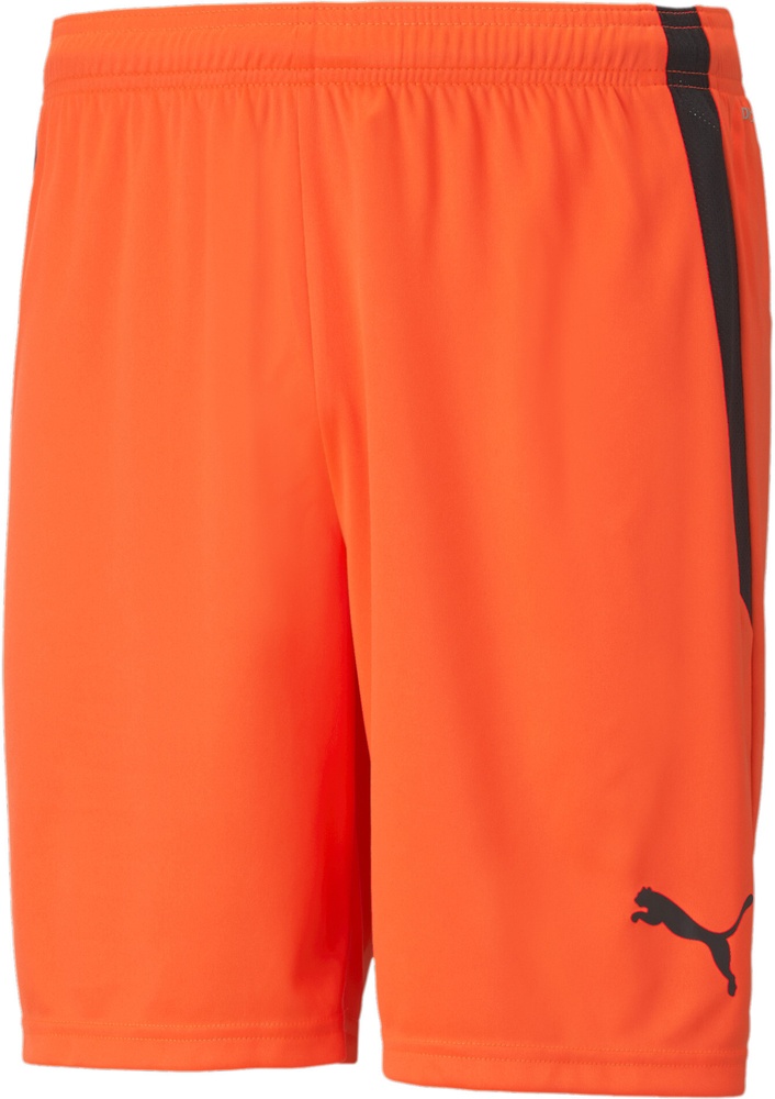 PumaSportShortsTeamLIGAShorts704924NrgyRed-PumaBlack-M