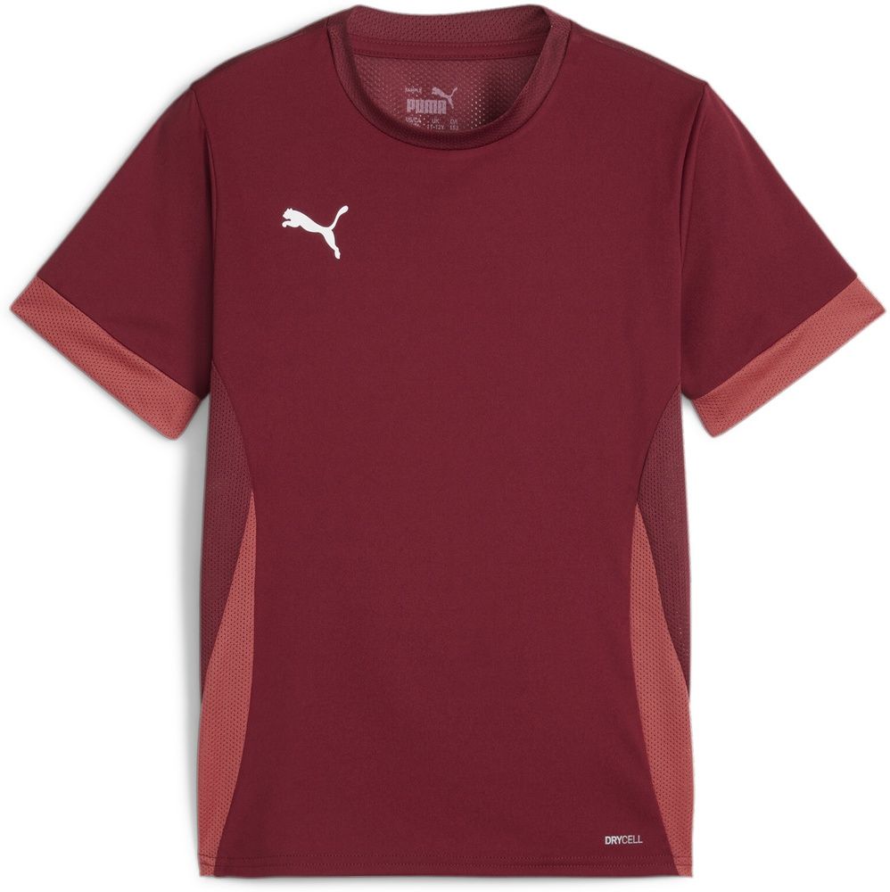 PumaKinderTeamGoalMatchdayJerseyjr705748TeamRegalRed-PumaWhite-AstroRed-116