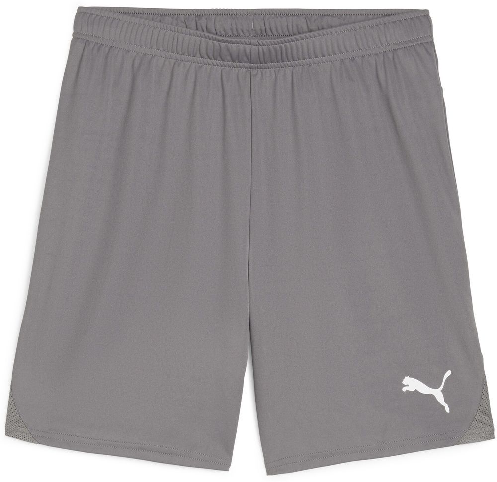 PumaSportShortsTeamGoalShorts705752