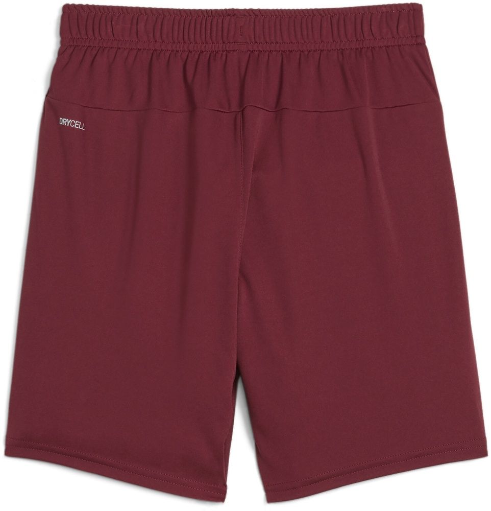 PumaKinderSportShortsTeamGoalShortsJr705753