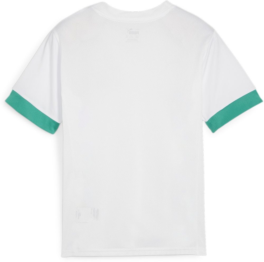 PumaKinderTeamGoalMatchdayJerseyjr705748PumaWhite-SportGreen-SportGreen-176