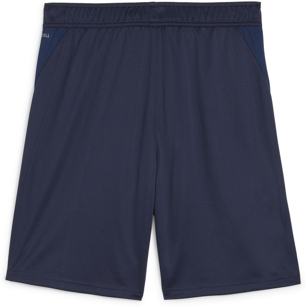 PumaSportShortsTeamGoalTrainingShort658643
