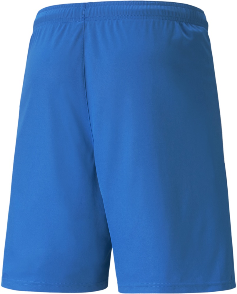 PumaSportShortsTeamLIGAShorts704924