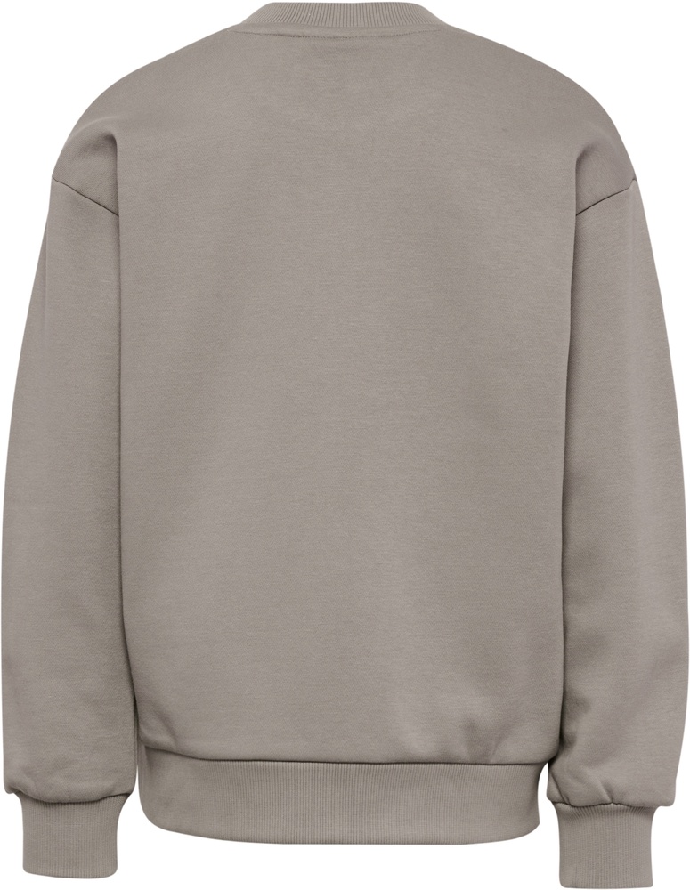 HummelKinderSweatshirtHmljrLooseCrewneckBee232950RockRidge-104